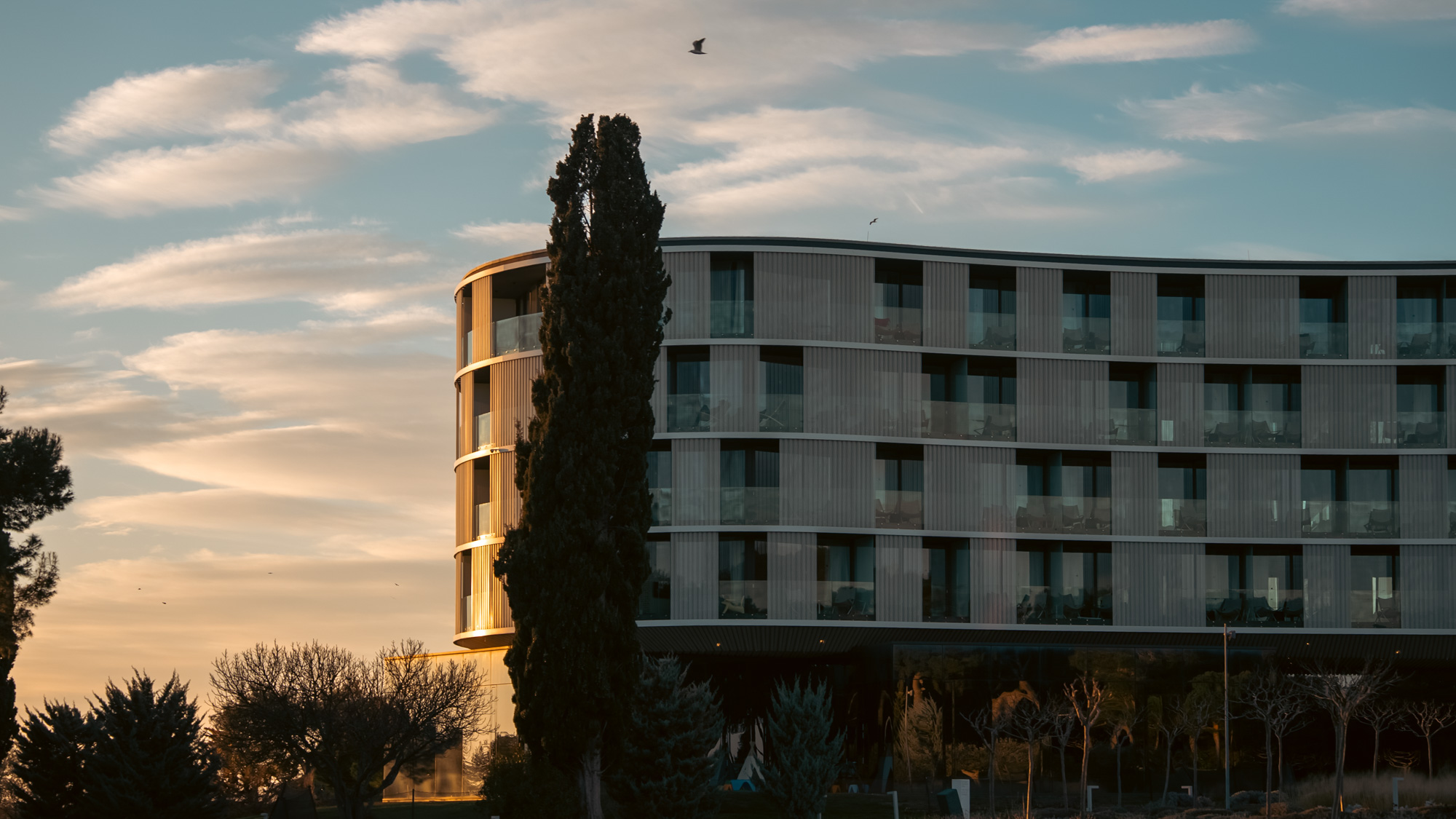 Amarin facade behind a cypress silhouette at sunset