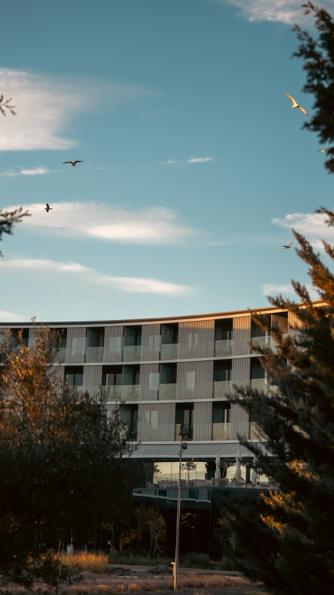 Amarin facade glimpsed through trees with gulls in flight