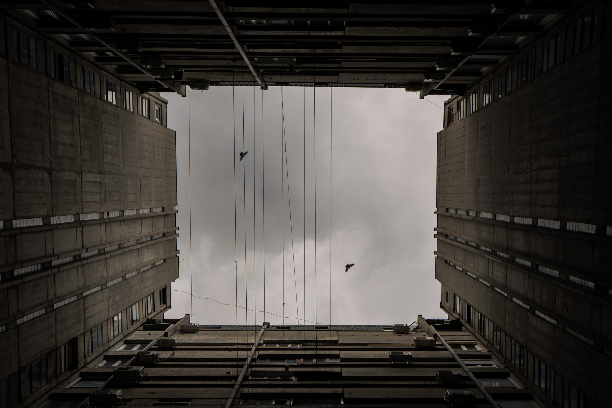 Looking straight up from inside a brutalist courtyard, Belgrade — two birds against a storm-grey sky